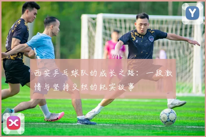 西安乒乓球队的成长之路：一段激情与坚持交织的纪实故事