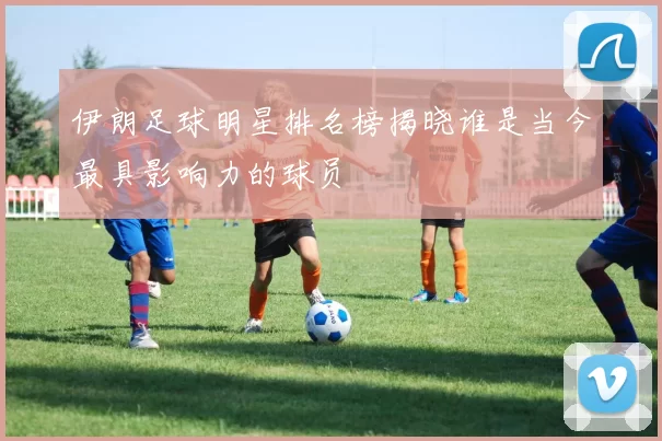 伊朗足球明星排名榜揭晓谁是当今最具影响力的球员