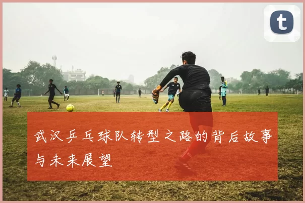 武汉乒乓球队转型之路的背后故事与未来展望