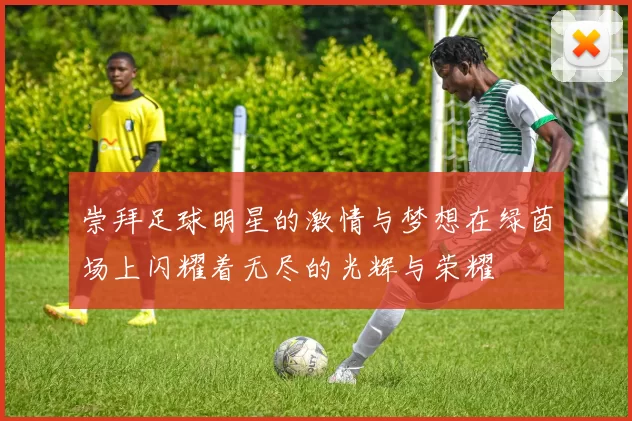 崇拜足球明星的激情与梦想在绿茵场上闪耀着无尽的光辉与荣耀
