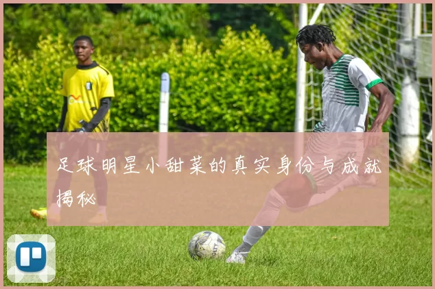 足球明星小甜菜的真实身份与成就揭秘