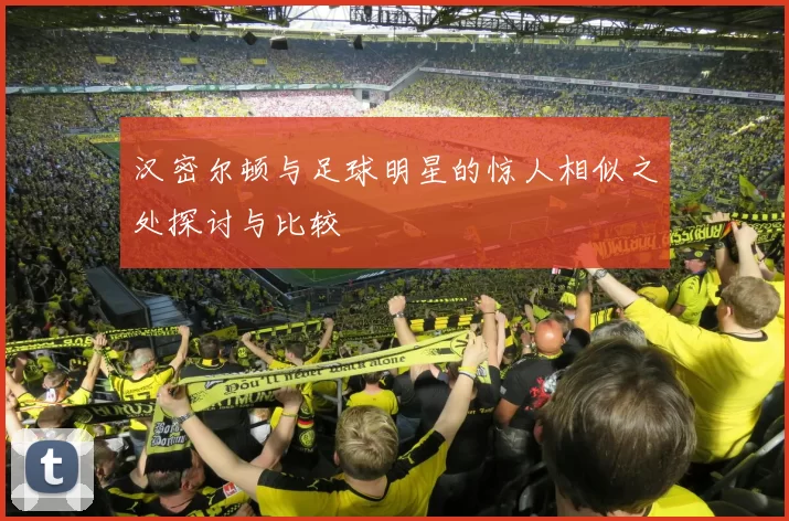 汉密尔顿与足球明星的惊人相似之处探讨与比较